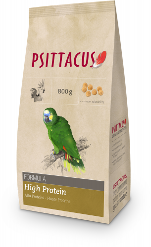 Psittacus Maintenance High Protein